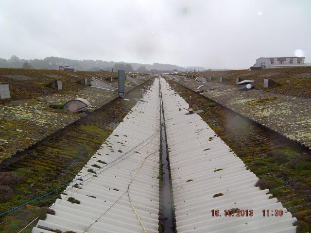mossy pitched roof with clogged gutter